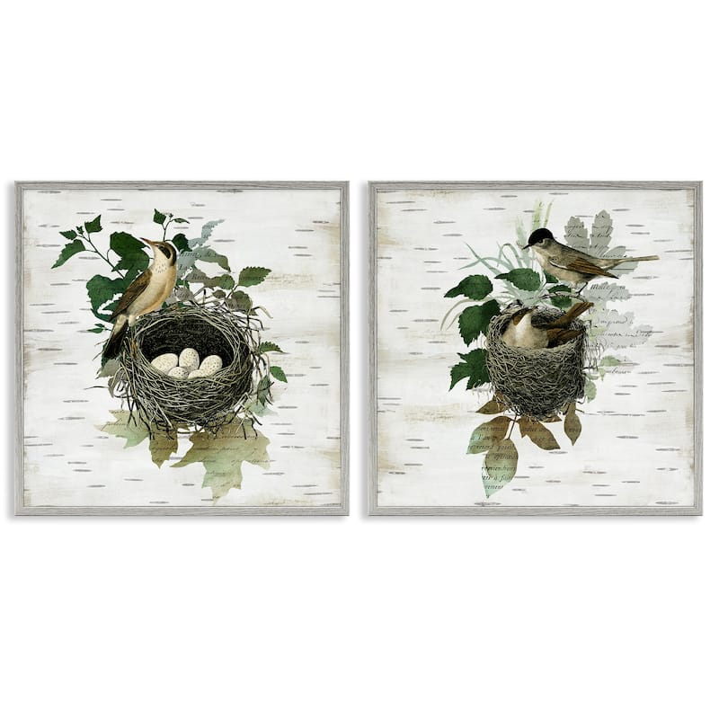 Stupell Rustic Vintage Bird Nests Framed Giclee Art Design By Susan Arnot (Set of 2) - 12 x 12 - Grey