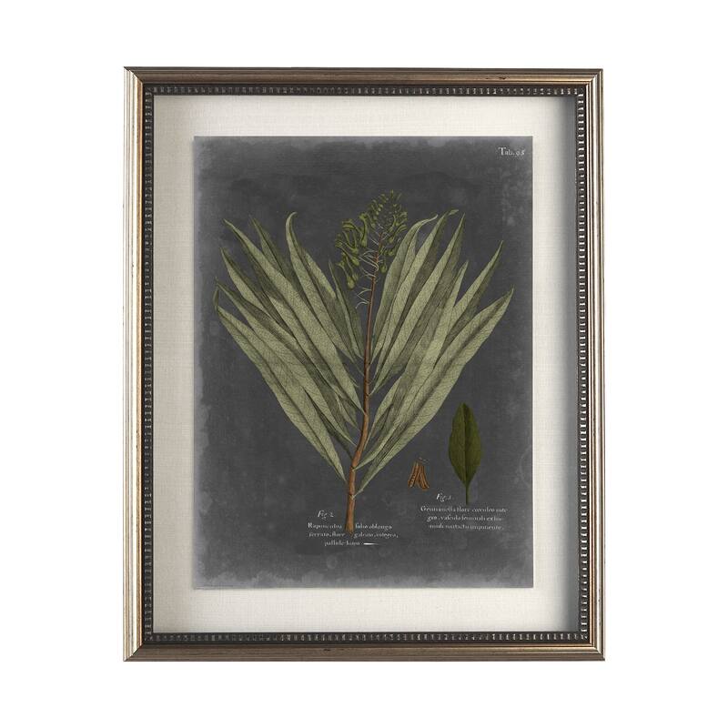 Foliage Dramatique II Framed Art Print