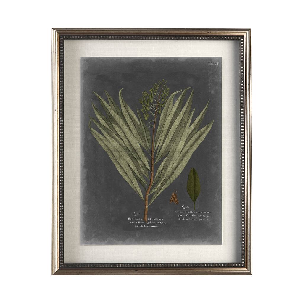 Foliage Dramatique II Framed Art Print