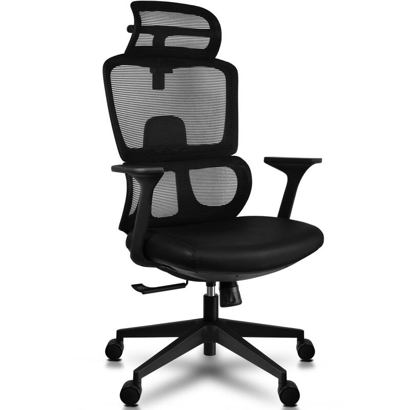 Ergonomic Office Chair with Lumbar Computer Adjustable Headrest Executive Desk Armchair Tall High Back Mesh