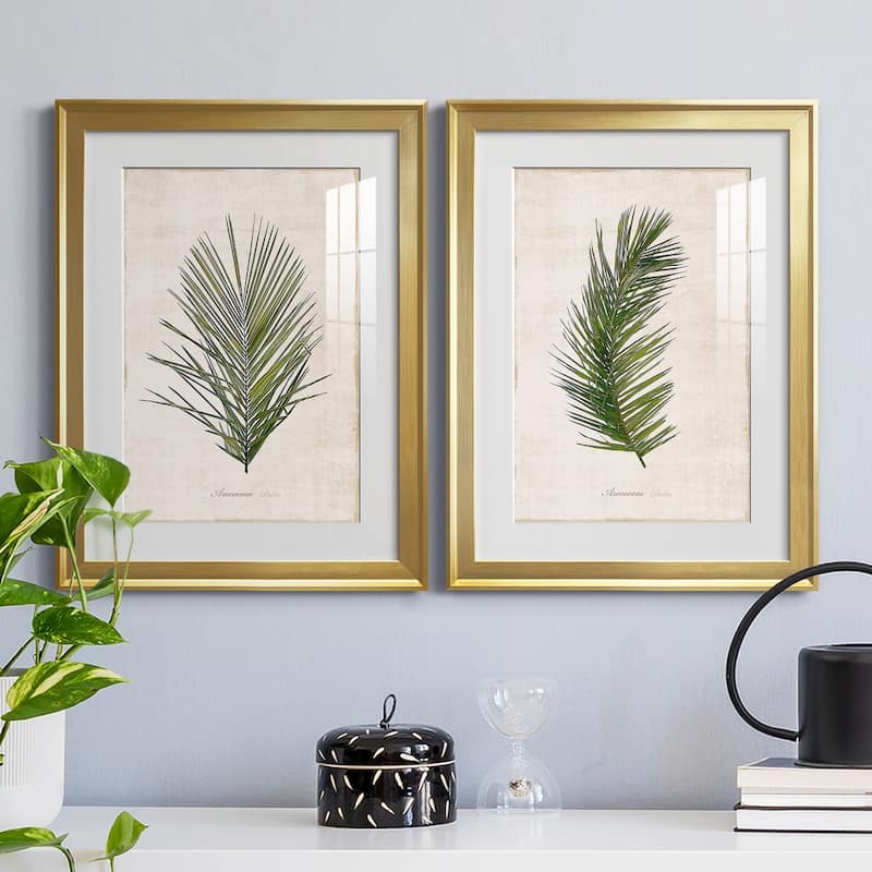 Palm Botanical I Premium Framed Print - Ready to Hang