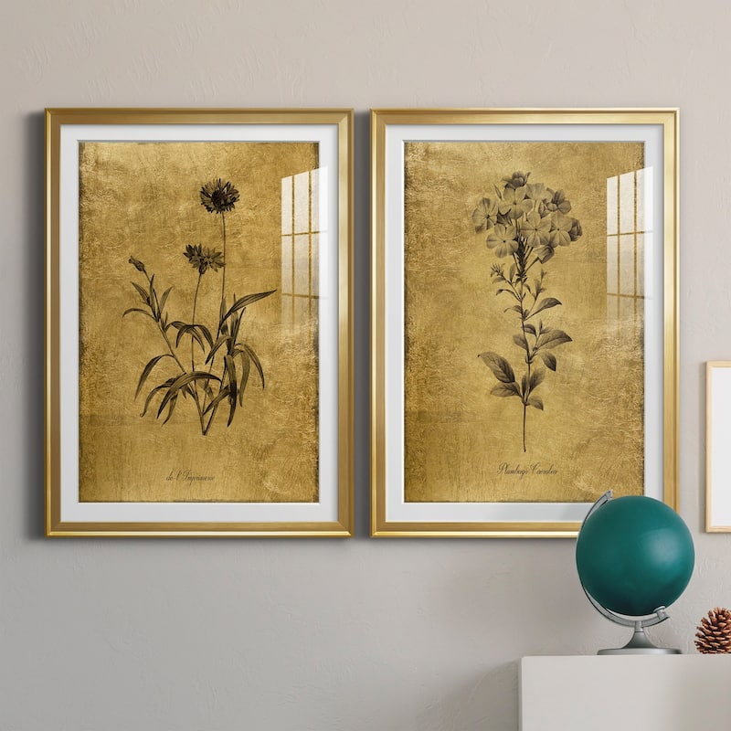 Gold Sketch Botanical I Premium Framed Print - Ready to Hang