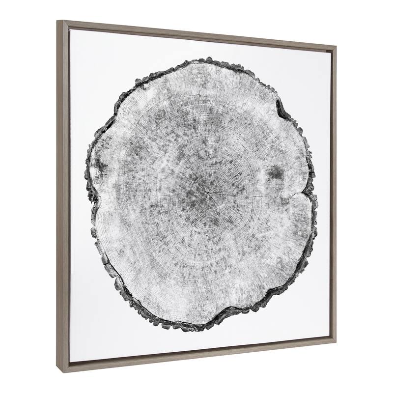 Kate and Laurel Sylvie Rings Framed Canvas by Emiko and Mark Franzen