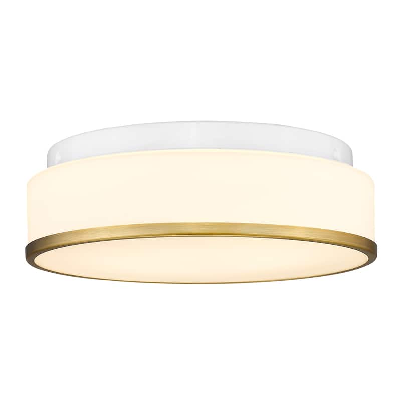 Flush Mount Ceiling Light with Frosted Glass Shade - N/A