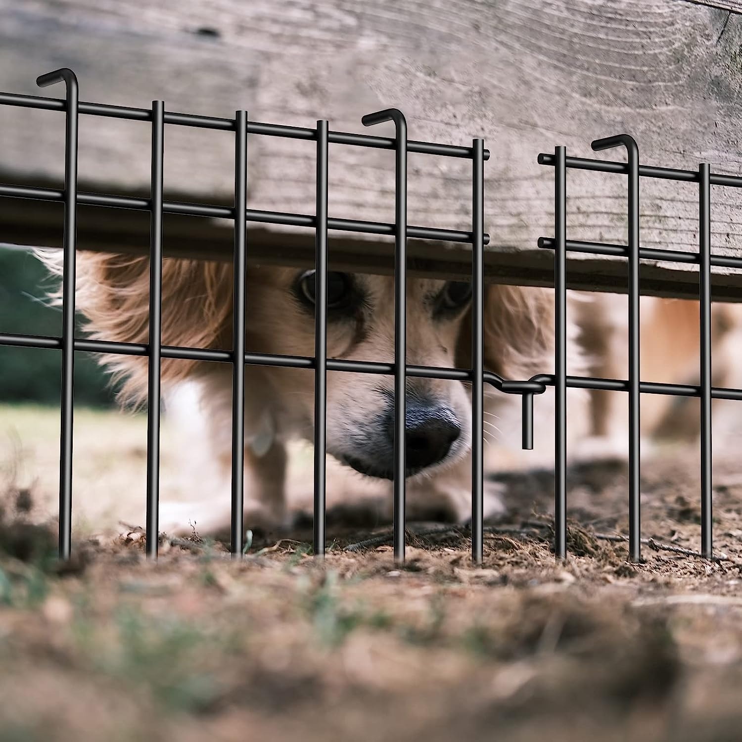 Animal Barrier Fence for Dogs 10PCS