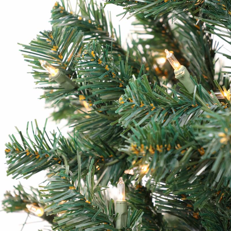 National Tree Company 6 ft. Acacia Christmas Tree with Clear Lights - 6 Foot