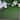 SAFAVIEH Vista Handan Washable Indoor/Outdoor Rug - Weather Resistant & Easy Cleaning