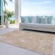 Option Coral