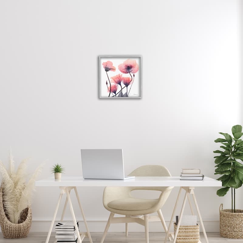 Stupell Elegant Modern Poppy Buds Framed Giclee Art Design By Albert Koetsier
