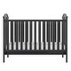 preview thumbnail 32 of 32, Avenue Greene Raiyan 2-in-1 Convertible Wood Nursery Crib