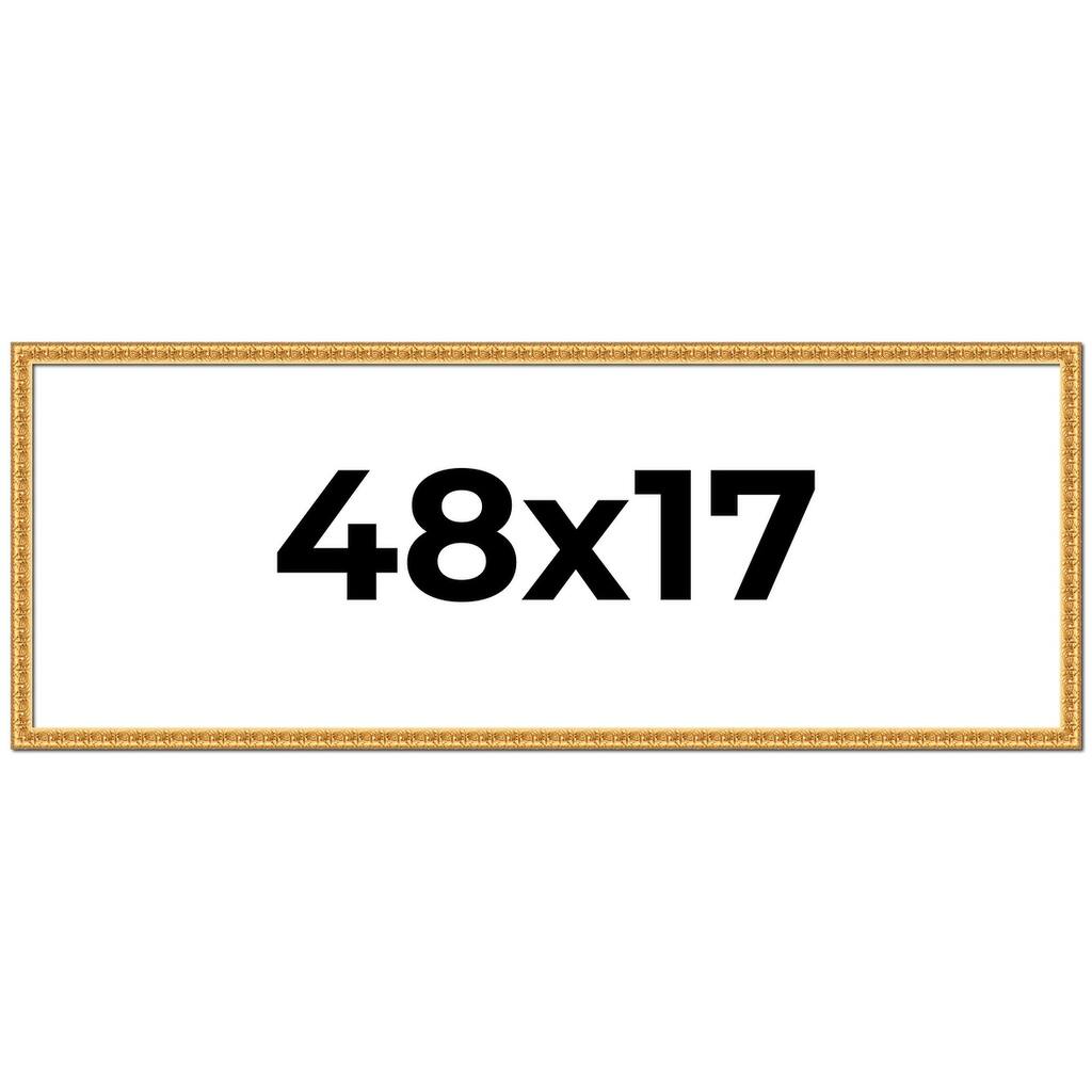 48x17 Frame Gold Real Wood Picture Frame Width 1 inches | Interior