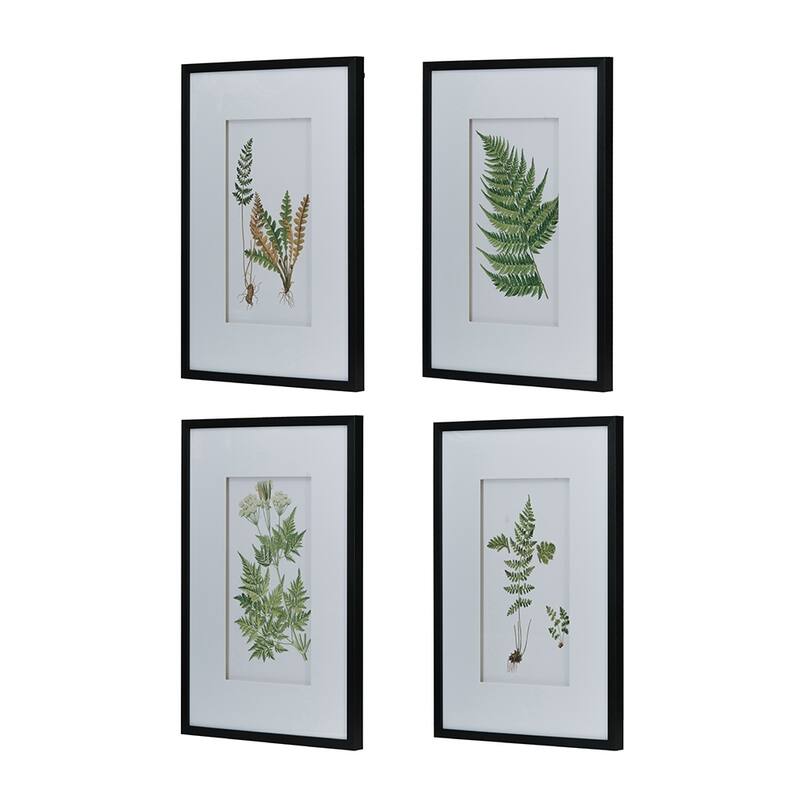 Set of 4 Botanical Black And White Fern Wall Art