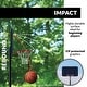 preview thumbnail 3 of 12, Lifetime Adjustable Youth Portable Basketball Hoop