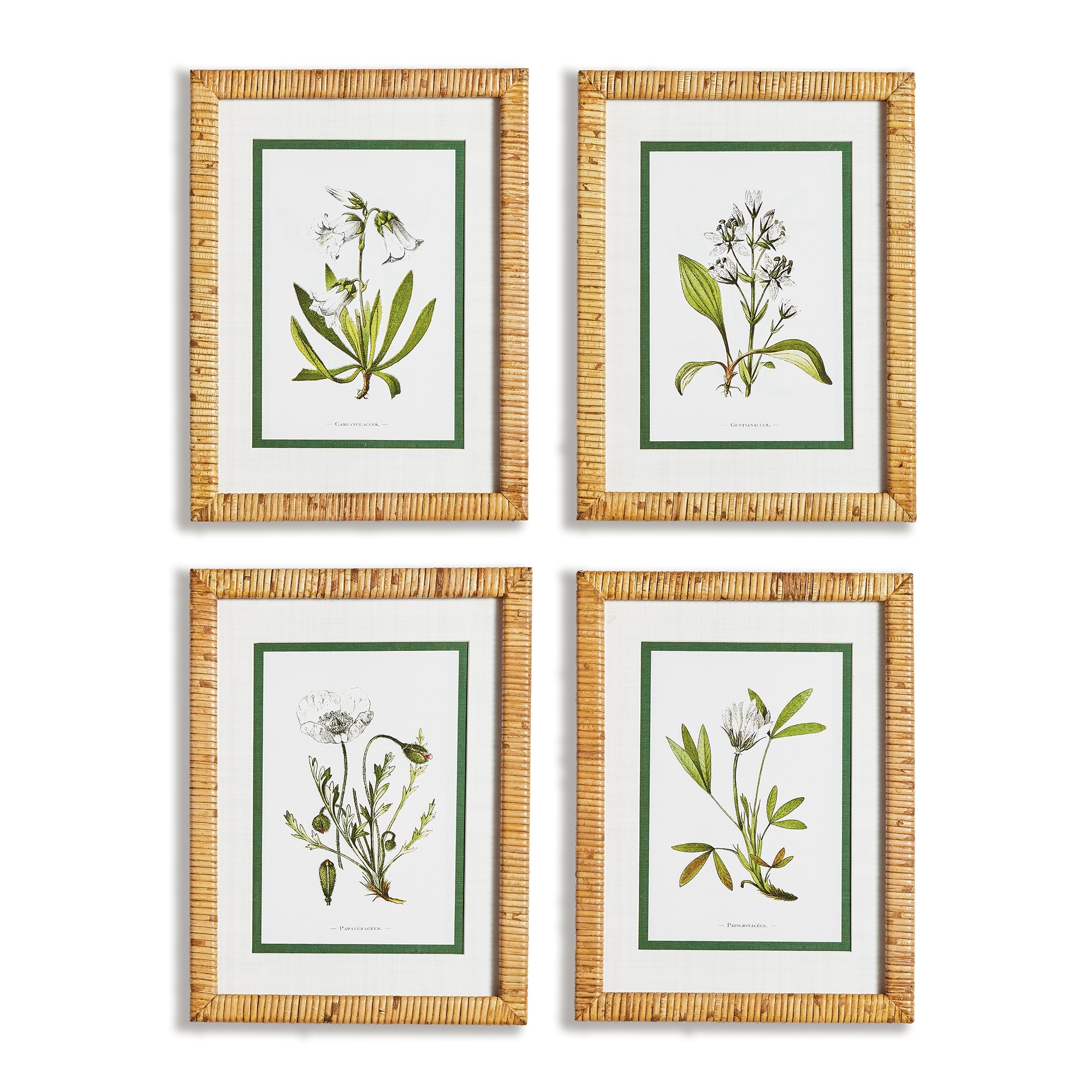 white floral study, set of 4