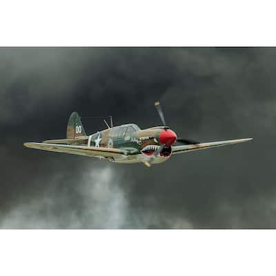 P-40 WW 2 Military Airplane in Flight by Wayne Collamore Art Poster - Print On Demand - 24 x 36 Inch