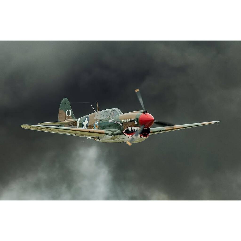 P-40 WW 2 Military Airplane in Flight by Wayne Collamore Art Poster - Print On Demand - 24 x 36 Inch
