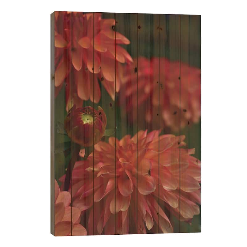 Dahlia Print On Wood by Olivia Joy StClaire - Multi-Color - 26x18x1.5