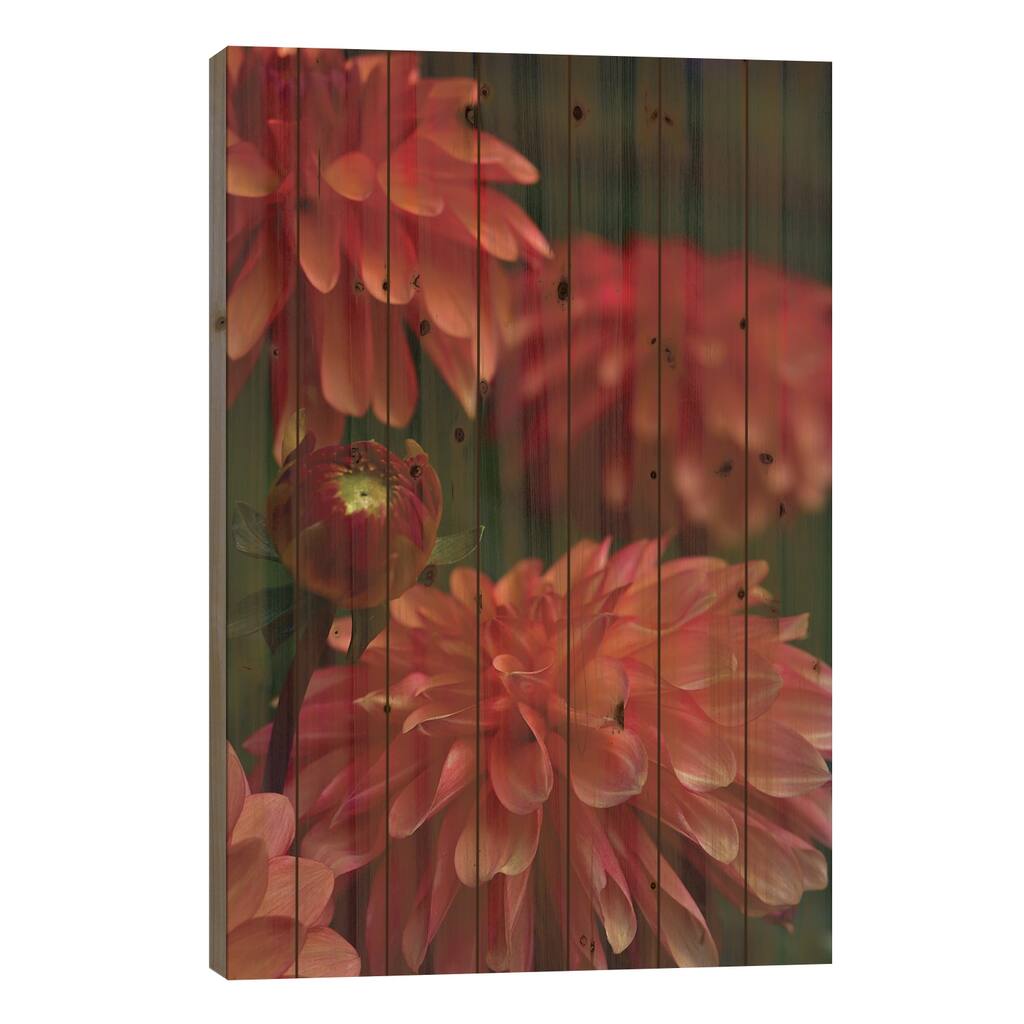 Dahlia Print On Wood by Olivia Joy StClaire - Multi-Color