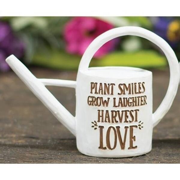 Shop Set Of 2 Decorative Resin Watering Cans On Sale Free