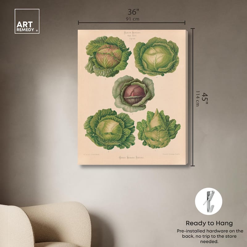 Cabbages by Benary 1876 Canvas by Art Remedy, Gallery Wrapped