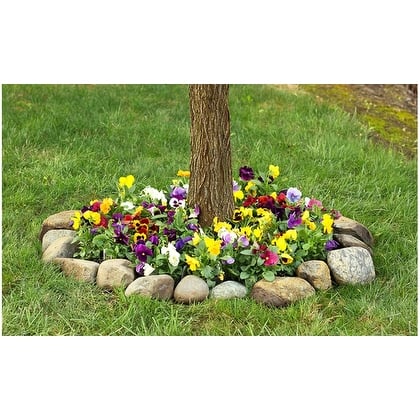 https://ak1.ostkcdn.com/images/products/is/images/direct/c61675cb1f66025904f046a70a7cda1d4624c837/Pretty-Pansies-Seeded-Flower-Mat---2-Pack-with-Garden-Shovel.jpg?impolicy=medium