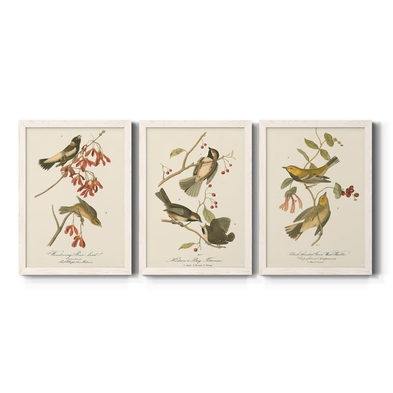 Wandering Rice Bird-Premium Framed Canvas - Ready to Hang - Multi-Color - 18X24 - White