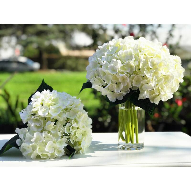 Enova Home Cream Artificial Silk Hydrangea Flowers Arrangement in Clear Cylinder Glass Vase with Faux Water for Home Decór