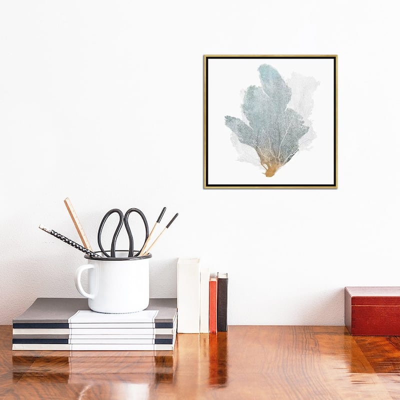 iCanvas "Delicate Coral II " by Isabelle Z Framed Canvas Print