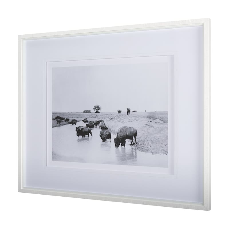 Buffalo Brook Framed Art Print