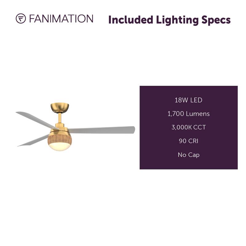 Paget 52 inch Indoor/Outdoor Smart Ceiling Fan with LED Light Kit and Remote
