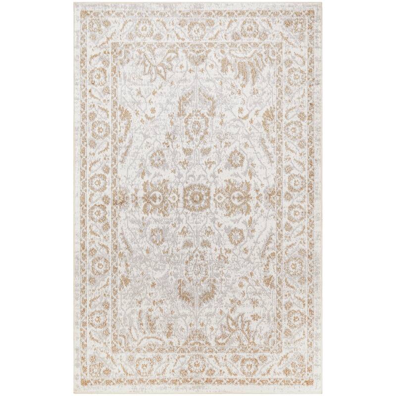 Nourison Astra Machine Washable Indoor only Persian Area Rug