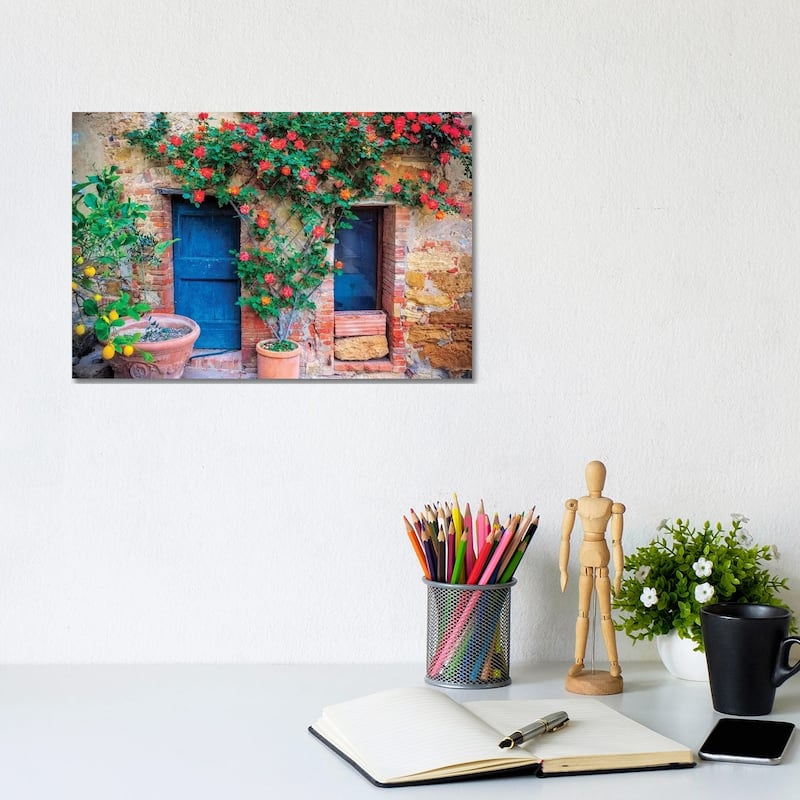 iCanvas "Italy, Val d' Orcia. two doors with vegetation " by Jaynes Gallery Canvas Print - 8x12x0.75