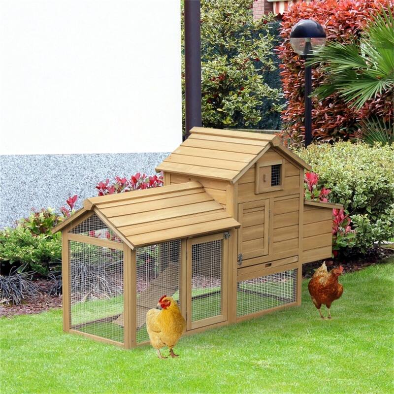 Compact Fir Wood Chicken Coop with Elevated House, Nesting Box, and Ramp