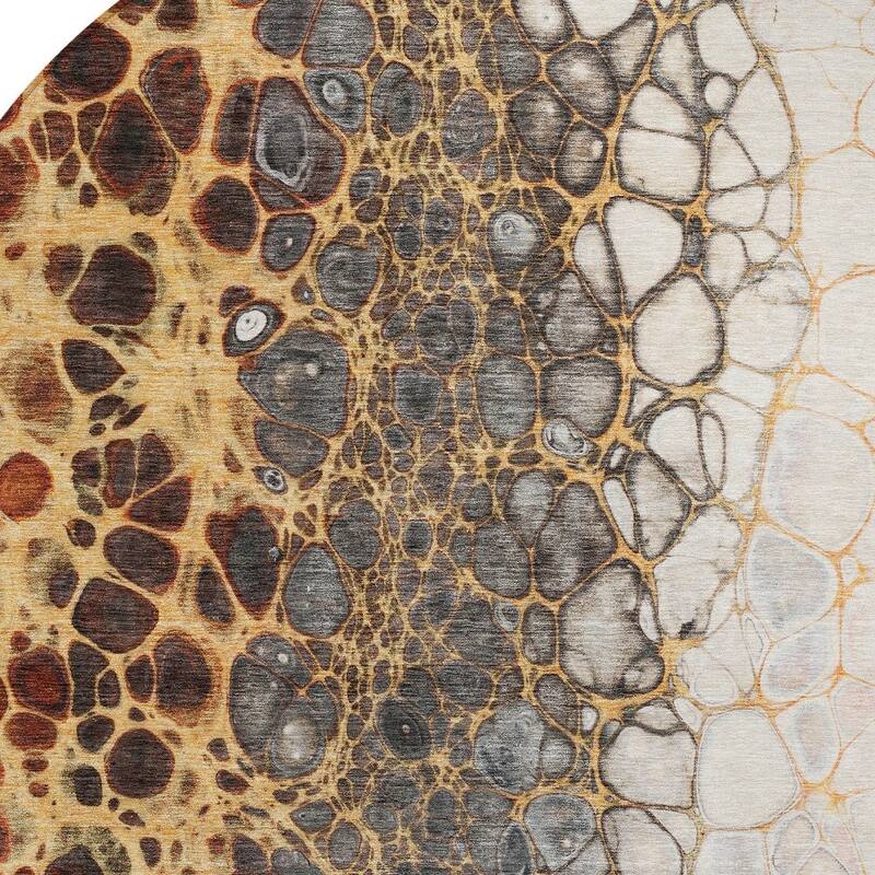 HomeRoots Abstract Transitional Rectangle Outdoor Rug