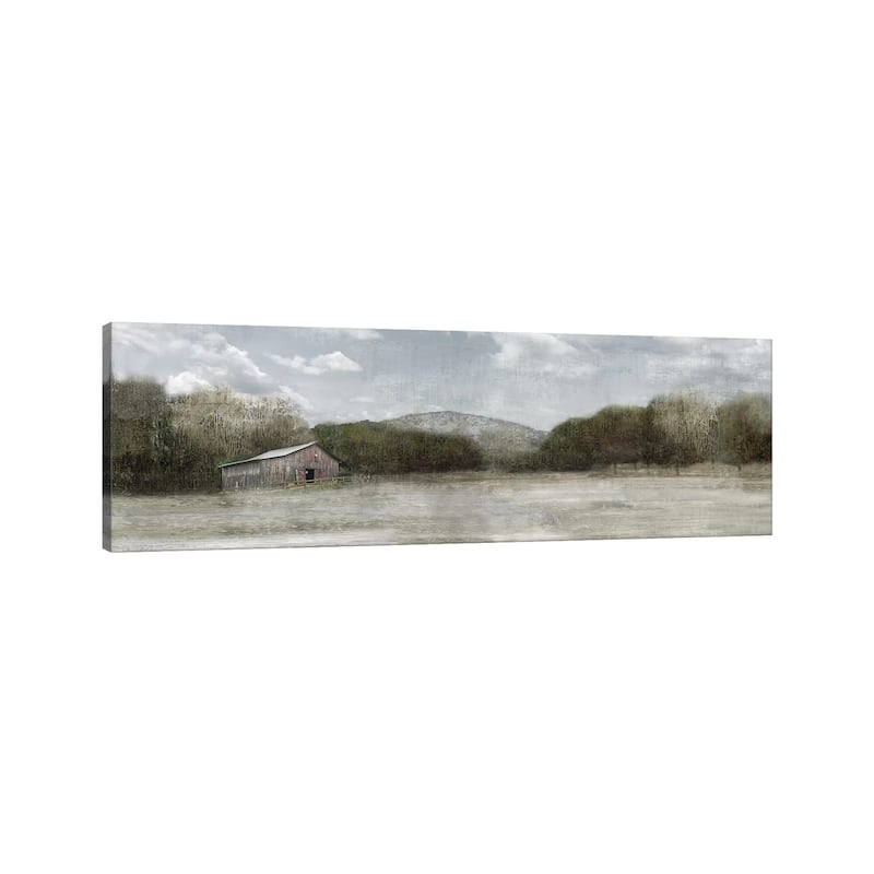 iCanvas "Country Satisfaction Detail" by Nan Canvas Print