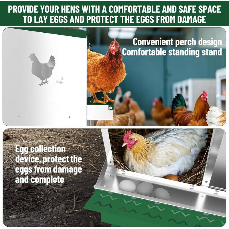 Wall-Mount or Free-Standing Metal Chicken Nesting Box for Hens, Green