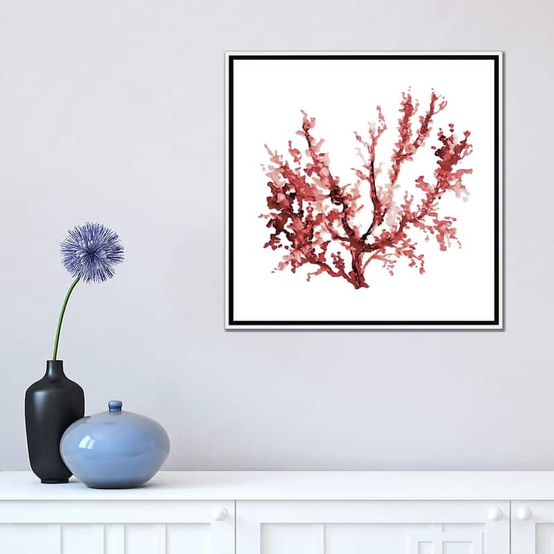 iCanvas "Sea Coral III" by Carol Robinson Framed Canvas Print