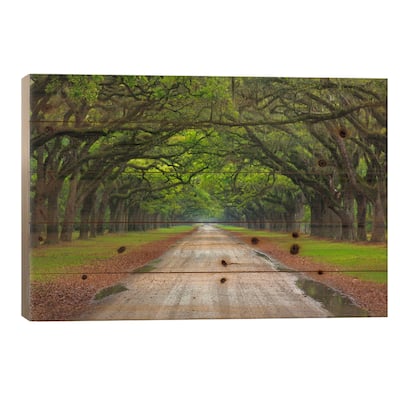 Oak Avenue, Wormsloe Plantation, Savannah, Georgia, USA Print On Wood by Joanne Wells - Multi-Color