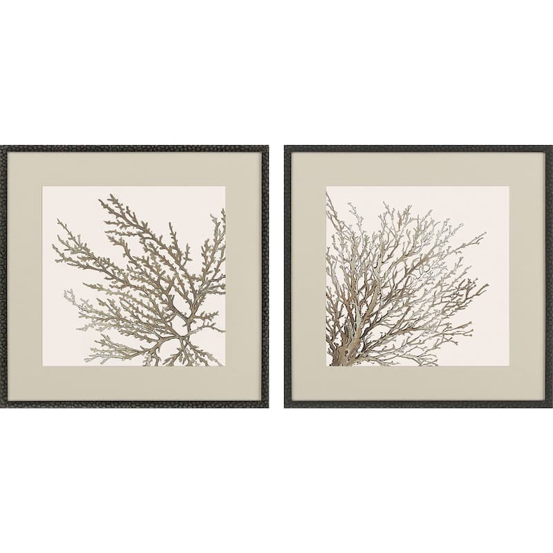Taupe Coral S/2 Framed Art Under Glass - 28 X 28 X 1