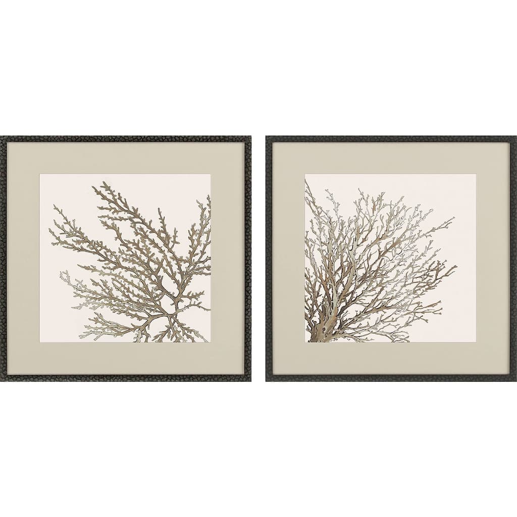 Taupe Coral S/2 Framed Art Under Glass