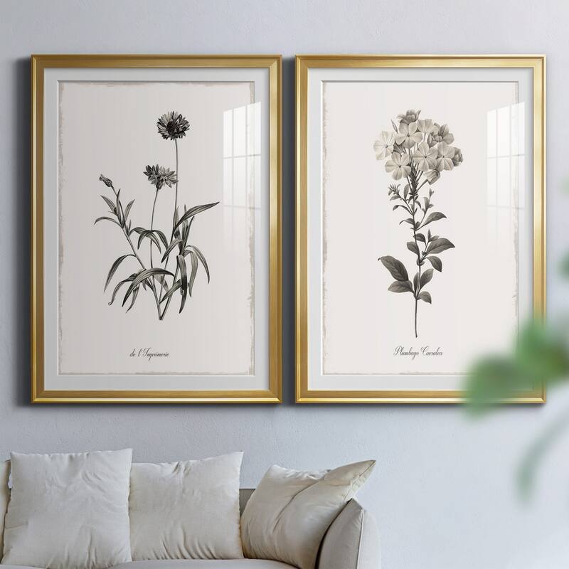Sketchbook Imperial Premium Framed Print - Ready to Hang