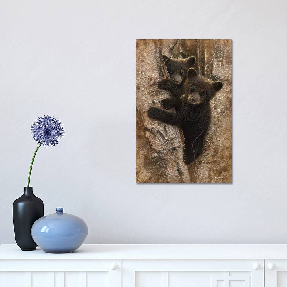 iCanvas "Curious Black Bear Cubs, Vertical" by Collin Bogle Canvas Print