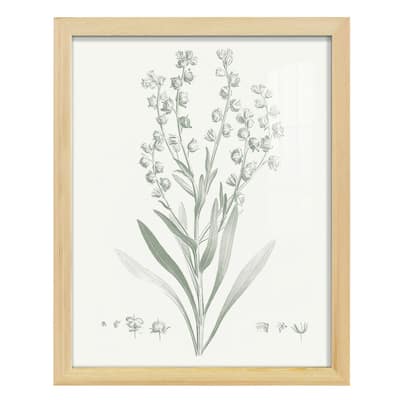 Botanical Study in Sage I -Framed Print w/glass-Cherry Red