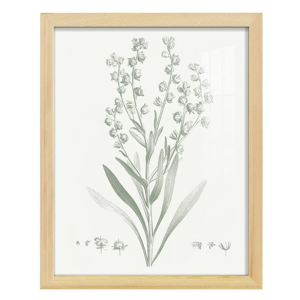 Botanical Study in Sage I -Framed Print w/glass-Cherry Red