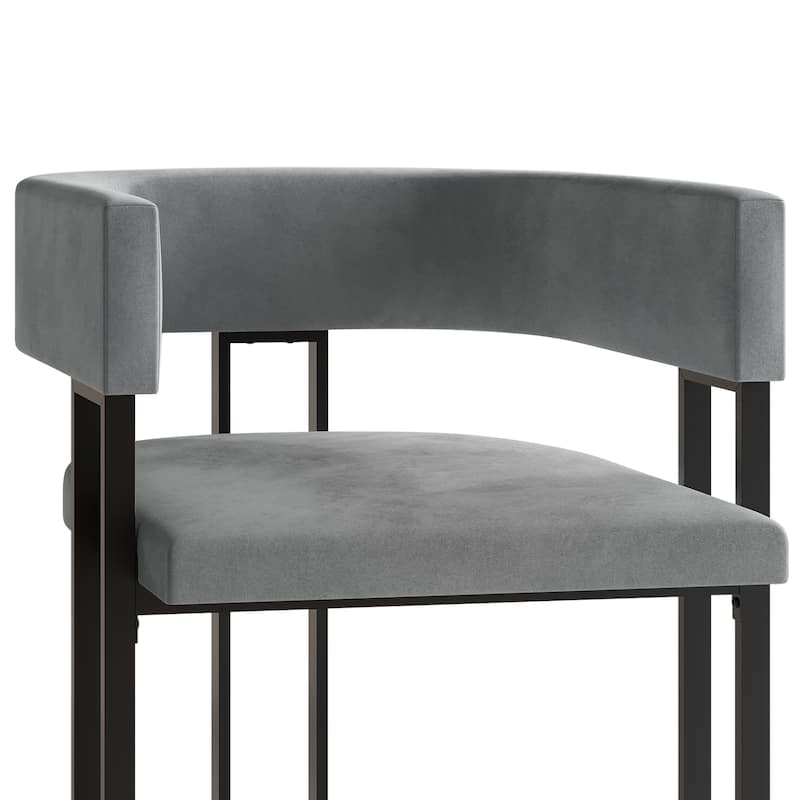 CraftPorch 2 Pieces Contemporary Dining Chair Set