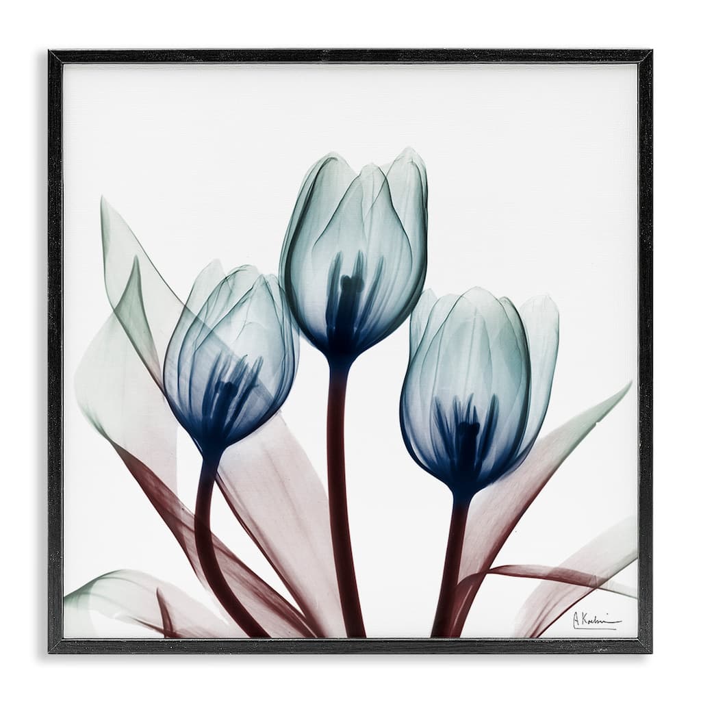 Stupell Chic Blue Translucent Tulips Framed Giclee Art Design By Albert Koetsier