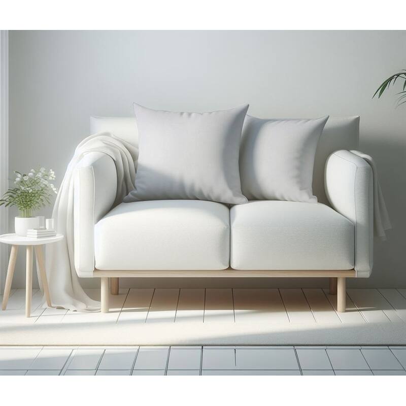 A1HC Pack of 2 Velvet Throw Pillow Covers, Hidden Zipper Closure