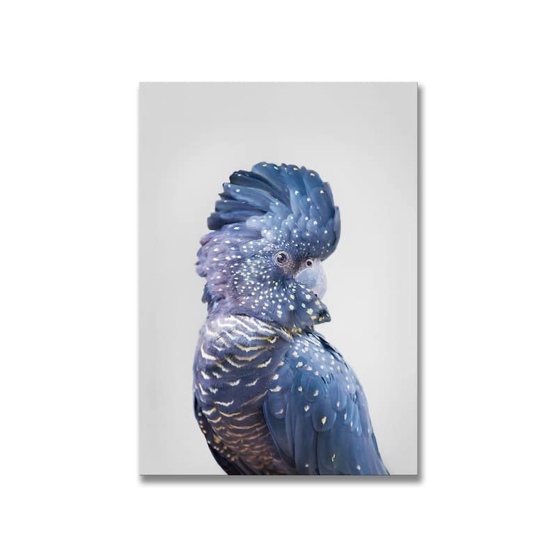 "Black Cockatoo" Framed Print Wall Art by Kathrin Pienaar
