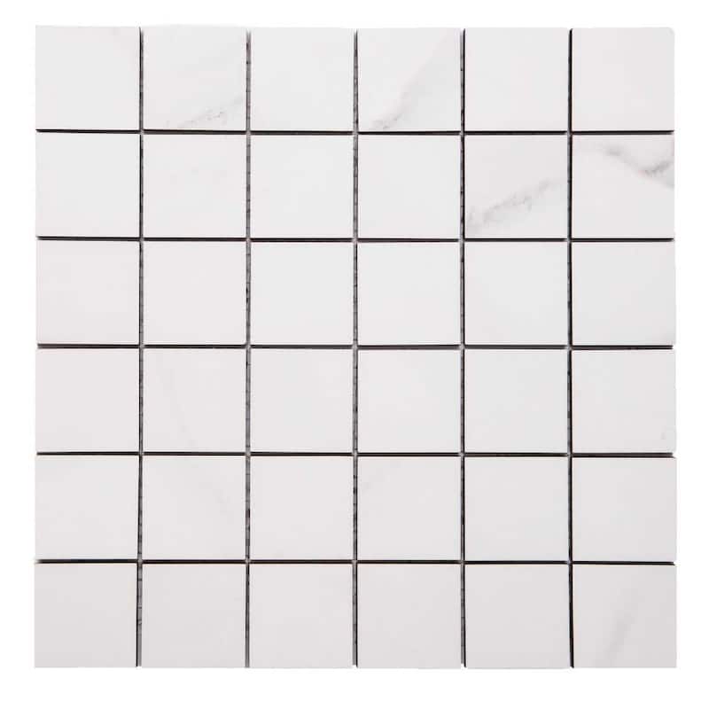 The Tile Life Carmine 2x2 Bianco Porcelain Floor & Wall Tile