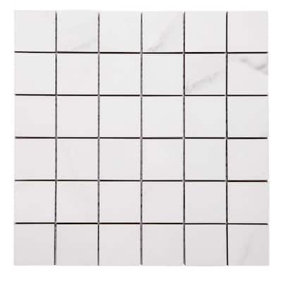The Tile Life Carmine 2x2 Bianco Porcelain Floor & Wall Tile